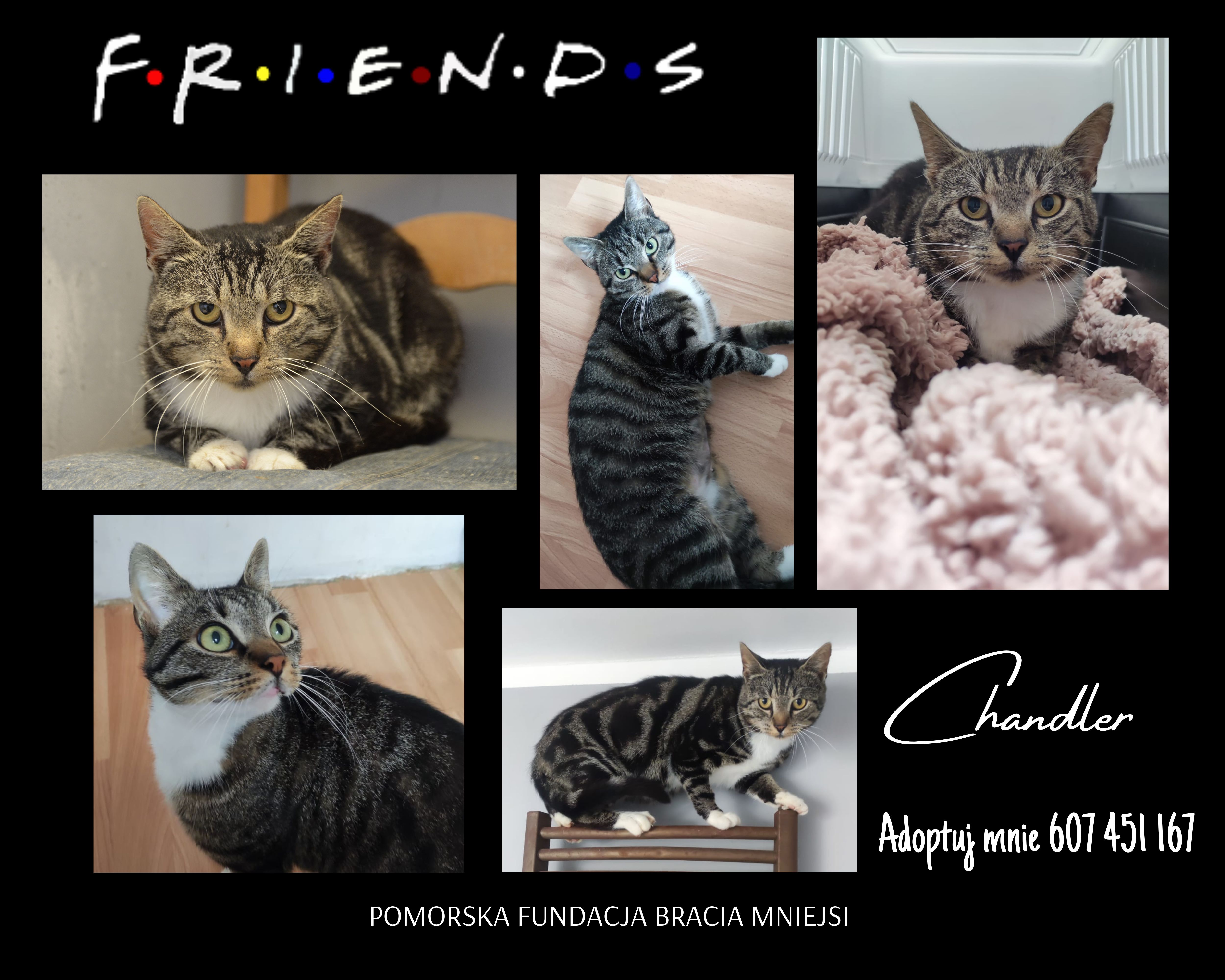 Friends